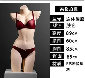 89cm Conjoined krūtīm modeļa krūšturis sievietes manekena lelles apakšveļa audumu veikals modelis aksesuārus krūtis krūšturis logu display rack 1pc C697