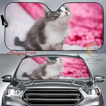 Kaķis Kaķēns Hd Automašīnas Saules Ēnā Dāvanu Idejas 2022